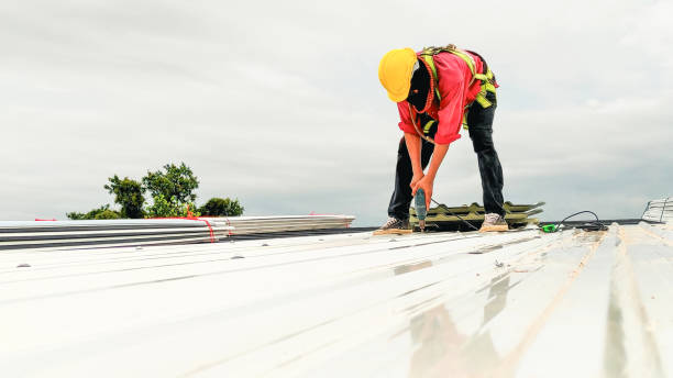Best Solar Panel Roofing Installation  in Atwood, TN