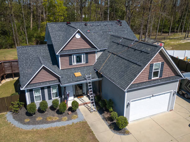 Best Roof Moss and Algae Removal  in Atwood, TN